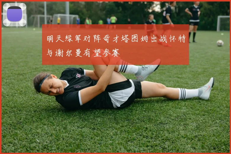 明天绿军对阵奇才塔图姆出战怀特与谢尔曼有望参赛