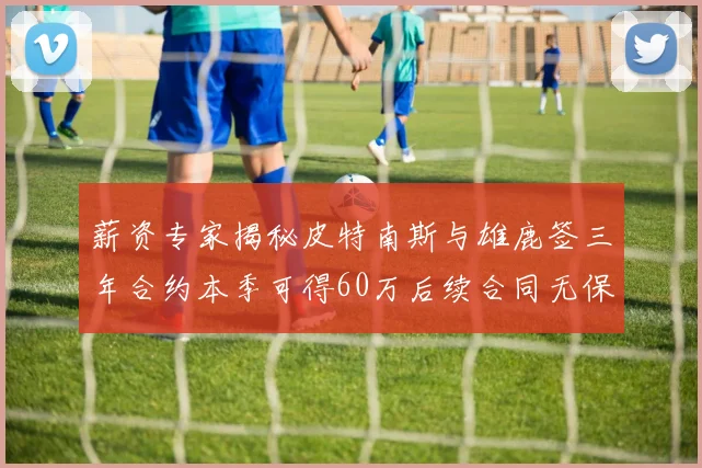 薪资专家揭秘皮特南斯与雄鹿签三年合约本季可得60万后续合同无保障