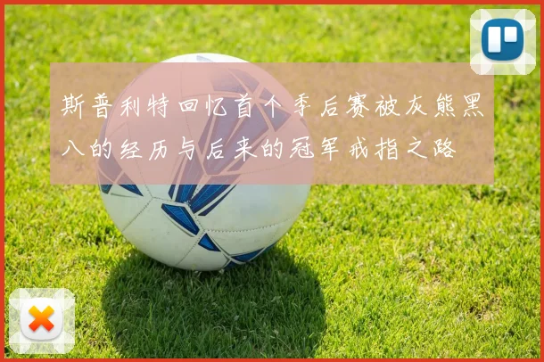 斯普利特回忆首个季后赛被灰熊黑八的经历与后来的冠军戒指之路